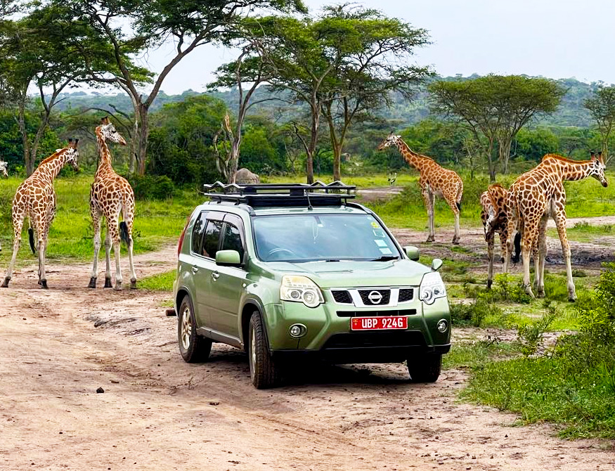 best-4x4-car-for-wildlife-safari-uganda