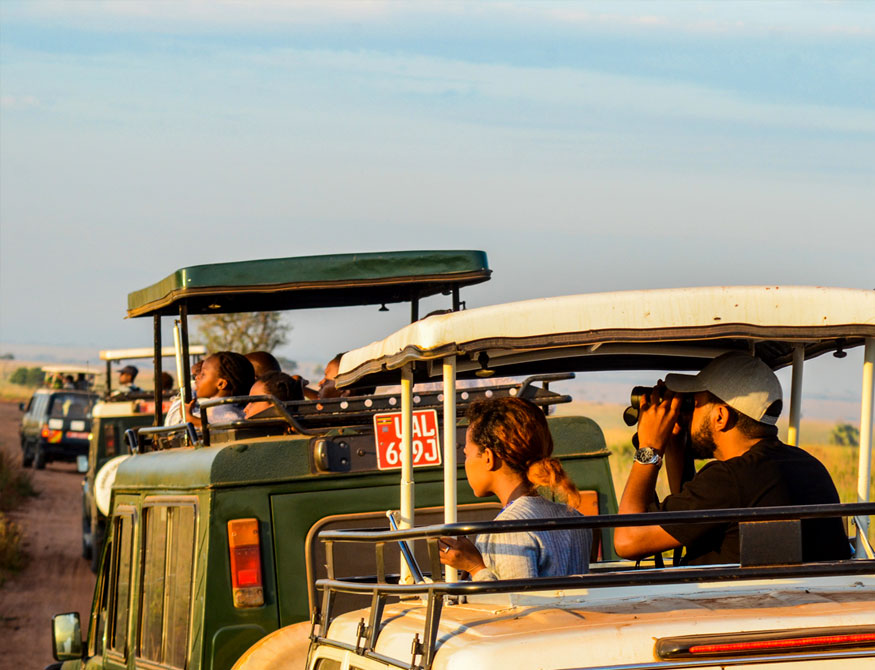 15-days-best-of-uganda-safari